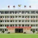 大埔縣田家炳高級(jí)職業(yè)學(xué)校