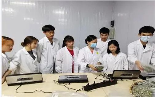 實(shí)訓(xùn)實(shí)習(xí)