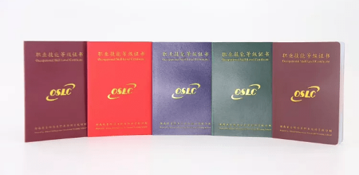 新版技師學院、技工學校畢業證書、技能等級證書及學籍查詢網址