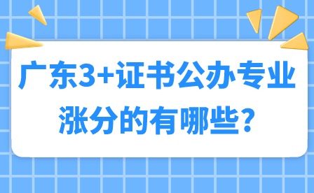 2024年廣東3+證書公辦專業漲分的有哪些?