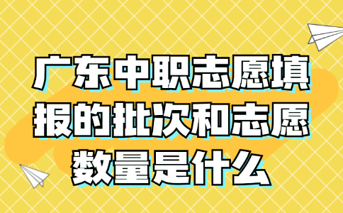 廣東中職志愿填報(bào)的批次和志愿數(shù)量是什么