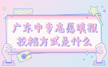 廣東中專志愿填報投檔方式是什么
