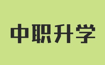 2025年廣東中職生升學最多人選擇的途徑