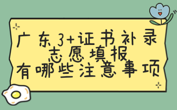 廣東3+證書補錄志愿填報有哪些注意事項
