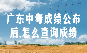 廣東中考成績公布后,怎么查詢成績