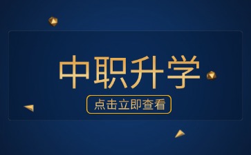 中職生考3+證書能填多少個院校及志愿?